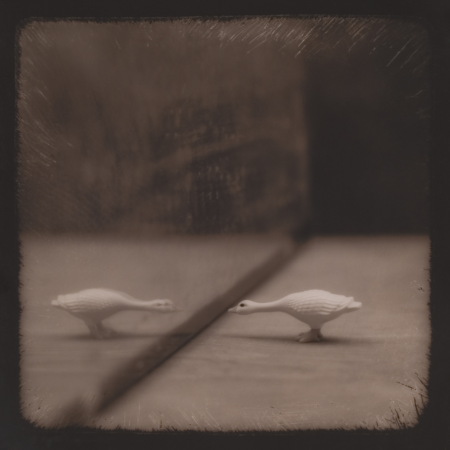 from the series Tales